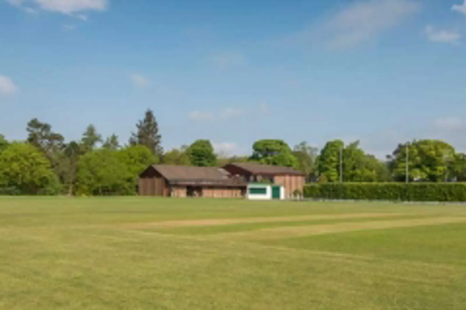 Cricket