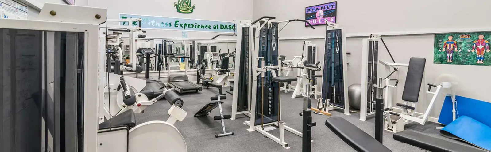 Fitness Suite